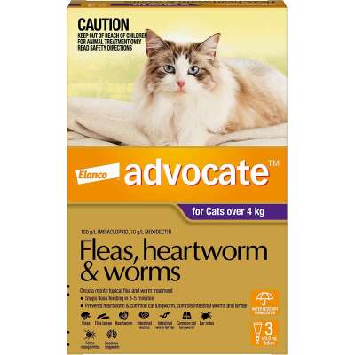 Cat Flea Treatments