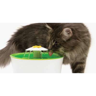 Cat Bowls & Fountains