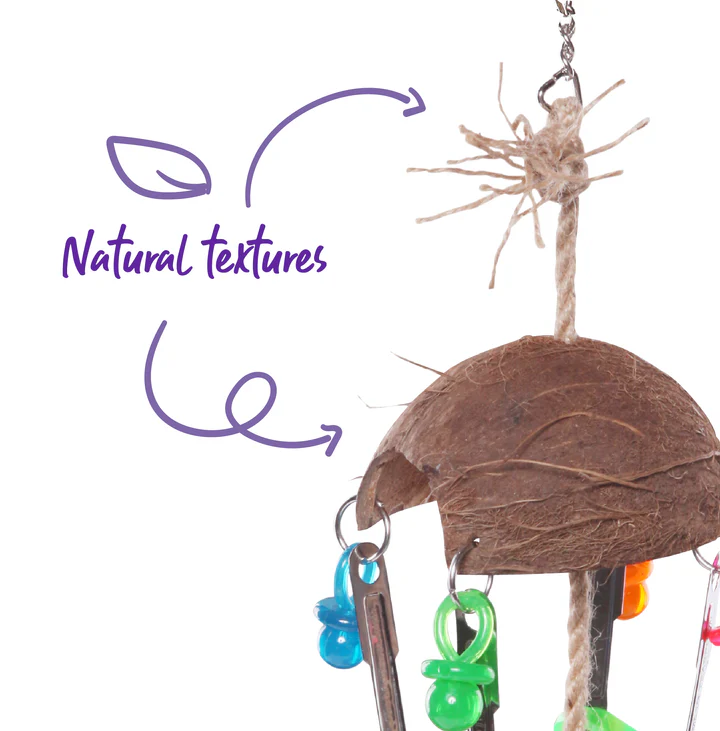 14566_Kazoo_SplitCoconutWToysandSpoons_D