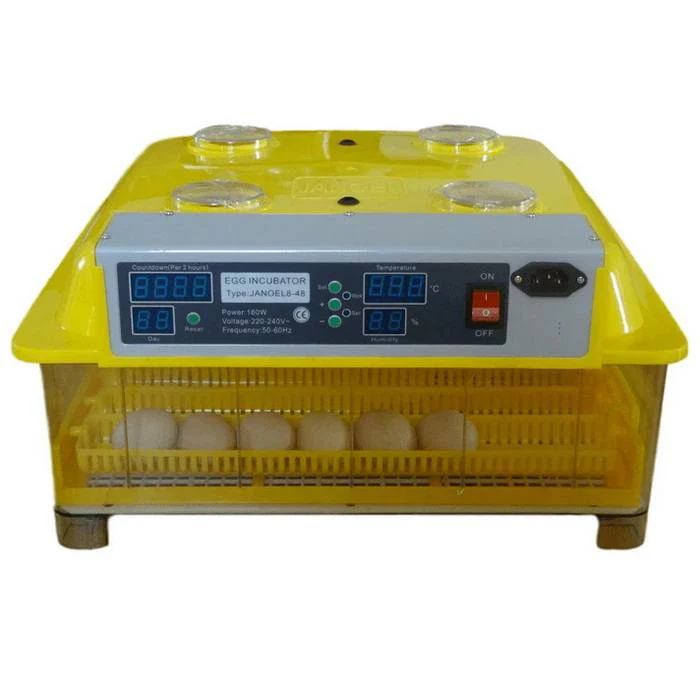 Egg_Incubator_Fits_48_Chicken_Eggs_Fully_Automatic_JN848_1_KRAKEN_2048x2048