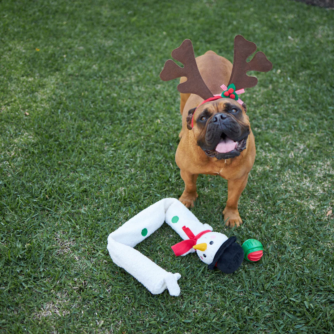 Kazoo_13858_13860_Christmas_LS1_0db384fe-a776-4cf4-a17d-68a7a848de52