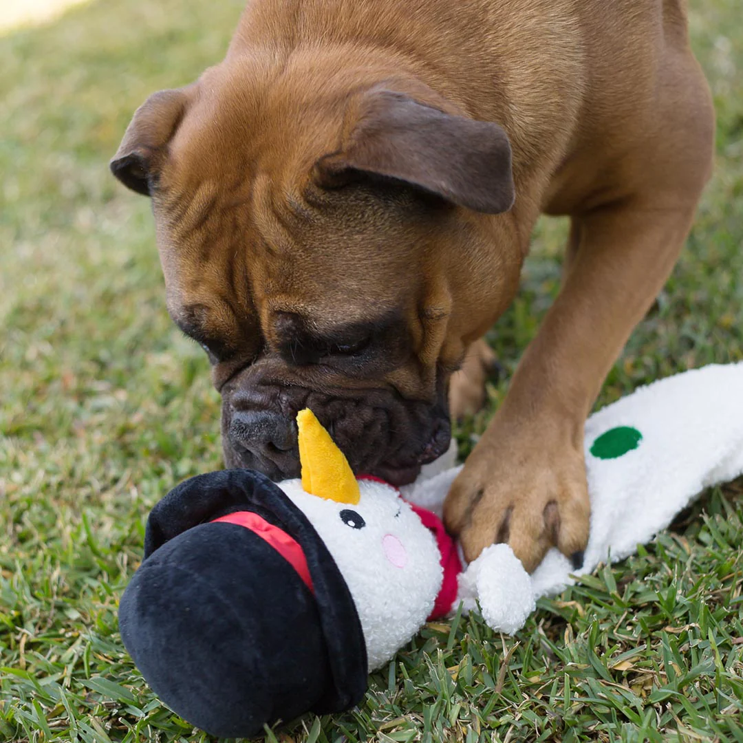 Kazoo_13860_SuperLongSnowman_LS_2