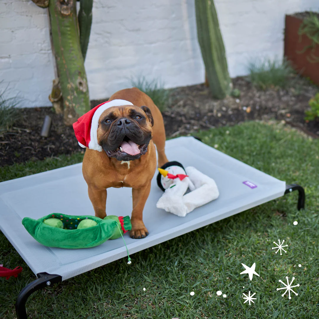 Kazoo_13868-13868_13859_13860_Christmas_Doodles1_1542099c-cbfd-4f60-a2aa-2e7a90f2ad95