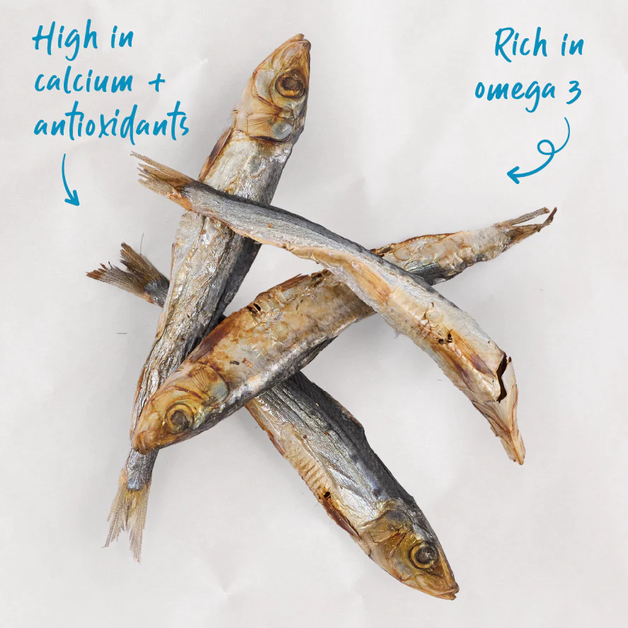 Kazoo_15801_Kazoo_PrimeCuts_ButterfliedSardine_100g_Product_Doodles