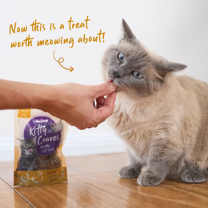 Kazoo_16104_KittyCraves_ChickenChunks_LS_Doodles