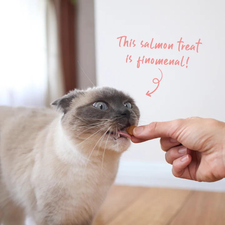 Kazoo_16106_KittyCraves_SalmonBites_LS_Doodles