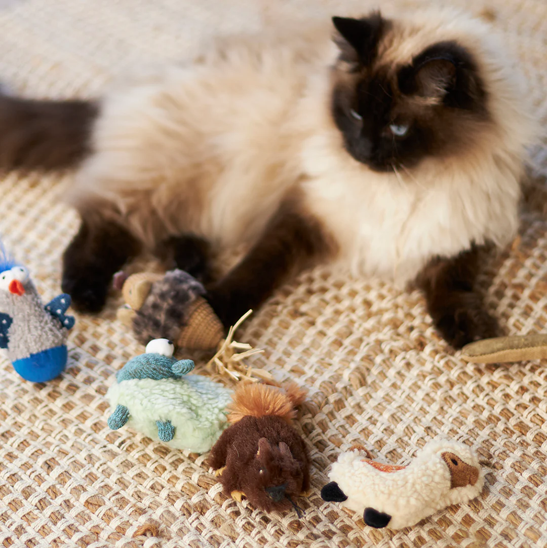 Kazoo_13996_Llamaw_Catnip_Silvervine_9.5x9.5x3_LS1