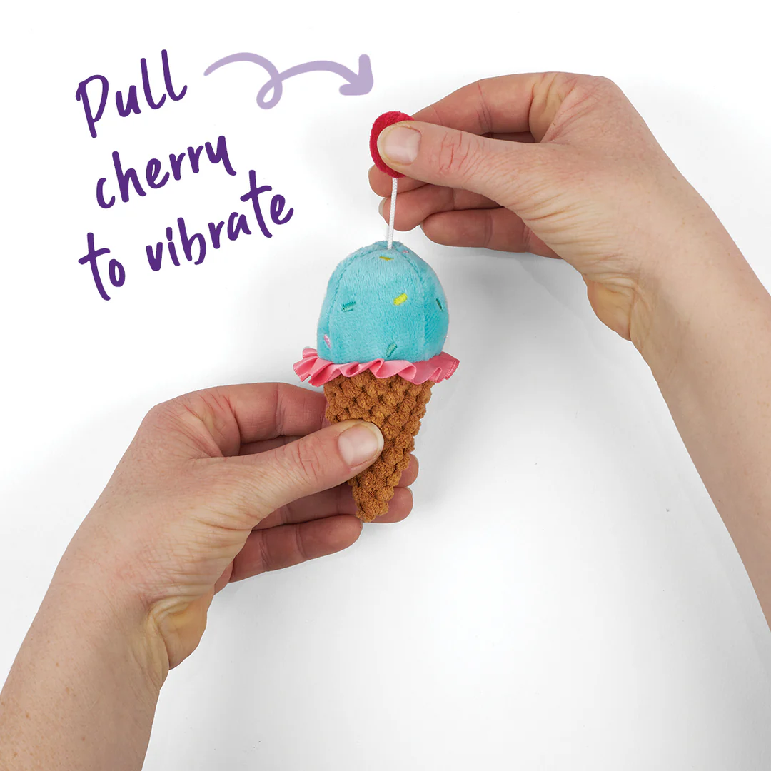 Kazoo_14003_IceCreamVibes_12x5x5_LS1_d