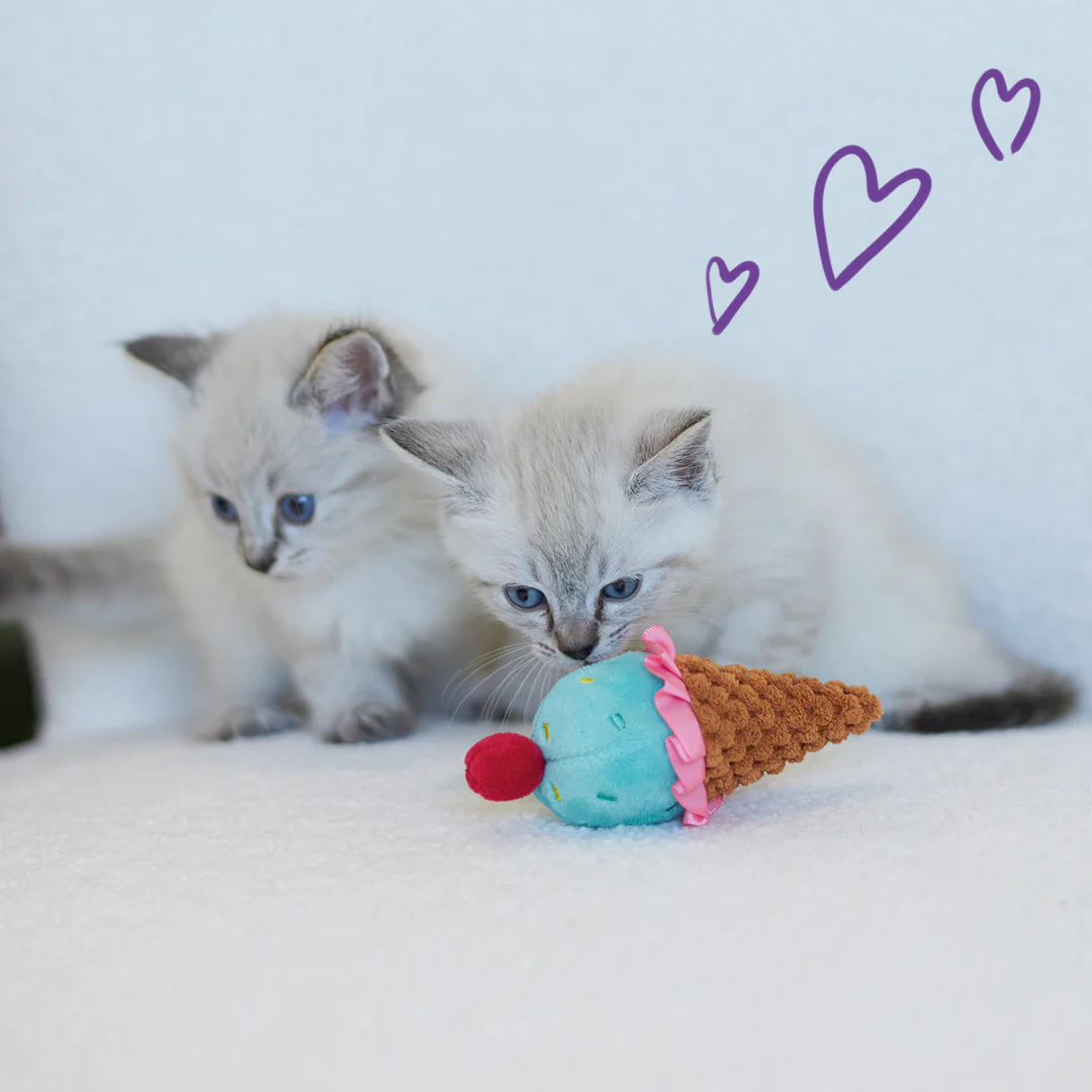 Kazoo_14003_IceCreamVibes_LS_2_D