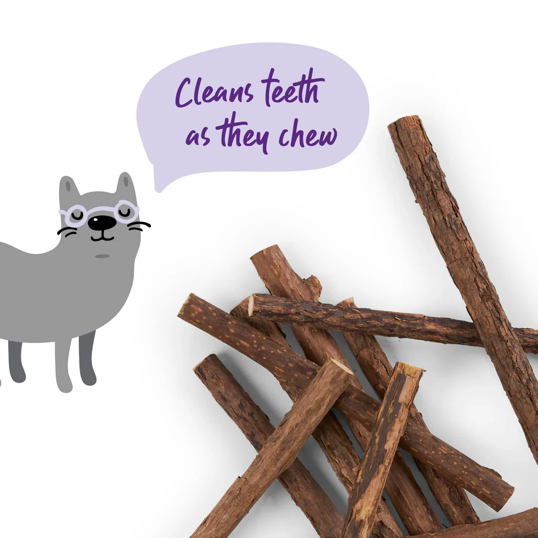 Kazoo_14059_KittySilvervineDentalChews_Doodles1