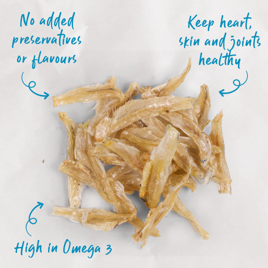 Kazoo_16124_PrimeCutsCat_AustralianAnchovies_Treats_Doodles