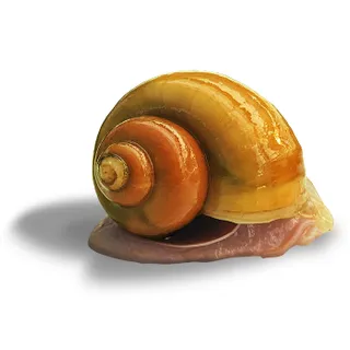 eyJidWNrZXQiOiJ3ZWItbmluamEtaW1hZ2VzIiwia2V5IjoicGlzY2VzZW50XC9pbWFnZXNcL3Byb2RpbWdcLzIwNzlfMS5qcGciLCJlZGl0cyI6eyJyZXNpemUiOnsid2lkdGgiOjMyMCwiaGVpZ2h0IjozMjAsImZpdCI6Imluc2lkZSIsIndpdGhvd
