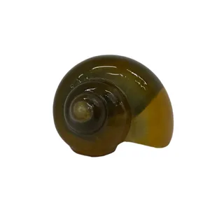 eyJidWNrZXQiOiJ3ZWItbmluamEtaW1hZ2VzIiwia2V5IjoicGlzY2VzZW50XC9pbWFnZXNcL3Byb2RpbWdcLzIwOTRfMS5wbmciLCJlZGl0cyI6eyJyZXNpemUiOnsid2lkdGgiOjMyMCwiaGVpZ2h0IjozMjAsImZpdCI6Imluc2lkZSIsIndpdGhvd