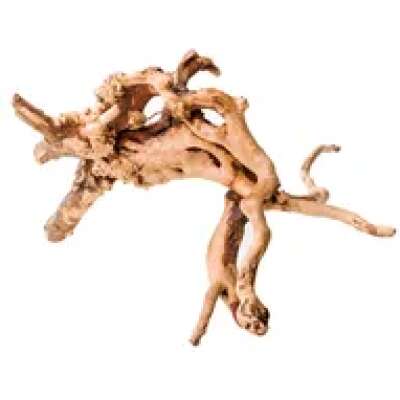 PNP Trading - Gold Vine nano 15cm