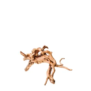 PNP Trading - Gold Vine nano 15cm
