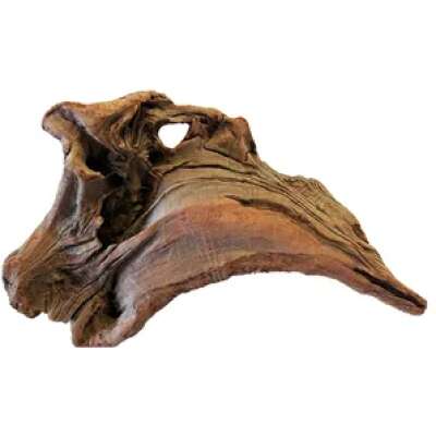 PNP Trading - New Zealand Exotic Wood M 30cm