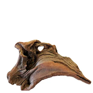 PNP Trading - New Zealand Exotic Wood M 30cm