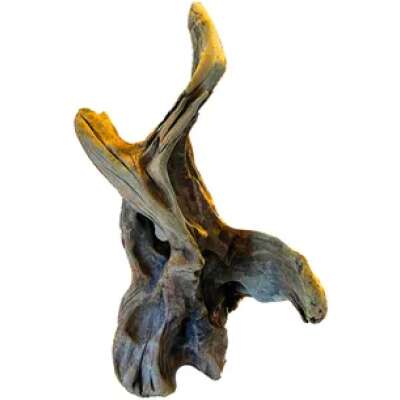 PNP Trading - New Zealand Exotic Wood L 40cm