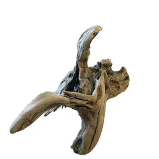 PNP Trading - New Zealand Exotic Wood XL 50cm