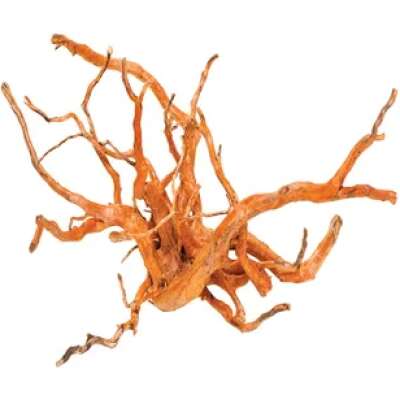 PNP Trading - Gold Vine Large 50cm