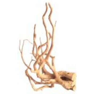 Bioscape Spider Wood Medium 30 - 40cm