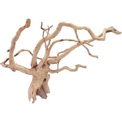 Bioscape Spider Wood Medium 40 - 50cm