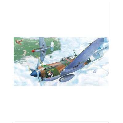 Hasegawa RAAF 1/72 P-40N WARHAWK with RAAF Decals