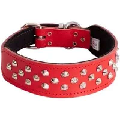 Beau Pets Studded Leather Staffy Collar- Red 60cm