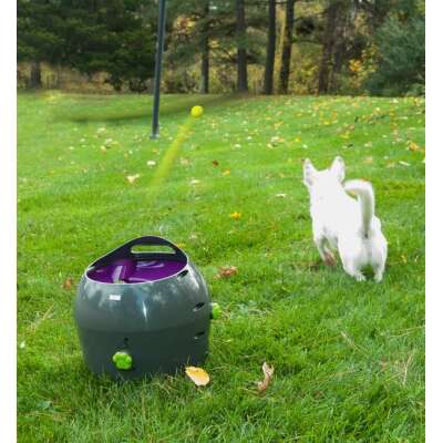 PETSAFE - Automatic Ball Launcher