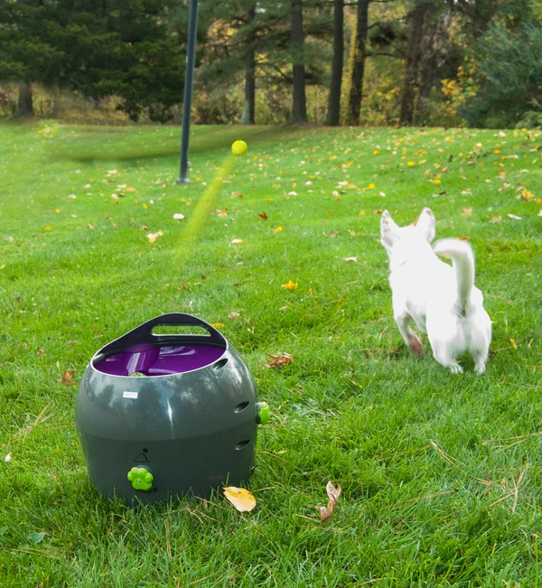 PETSAFE - Automatic Ball Launcher