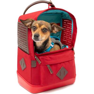 Kurgo® Nomad Dog Carrier Backpack, Red