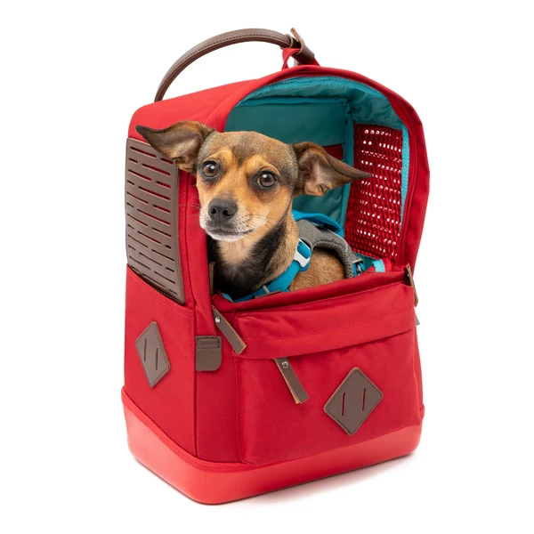 Kurgo® Nomad Dog Carrier Backpack, Red