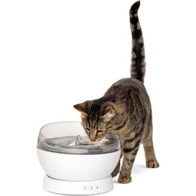 PETSAFE - HydroSphere™ 1.7L Cordless Fountain