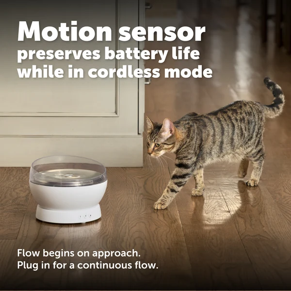 PETSAFE - HydroSphere™ 1.7L Cordless Fountain - Image 3