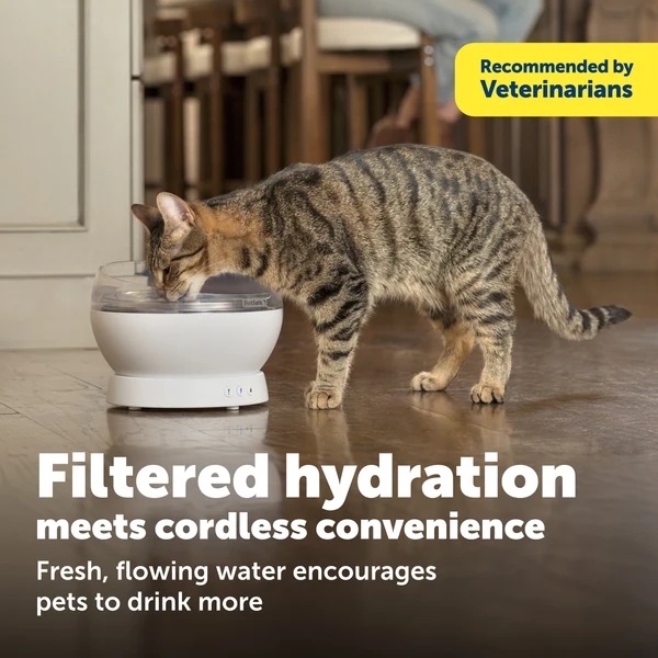 PETSAFE - HydroSphere™ 1.7L Cordless Fountain - Image 6