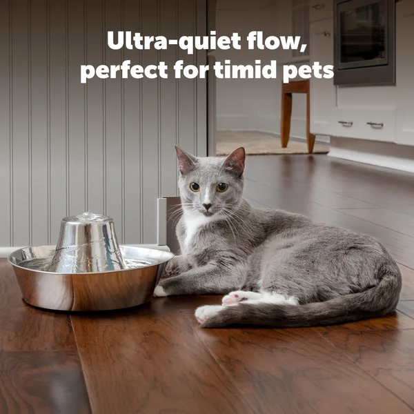 PETSAFE - Seaside Stainless Steel Pet Fountain - Image 2