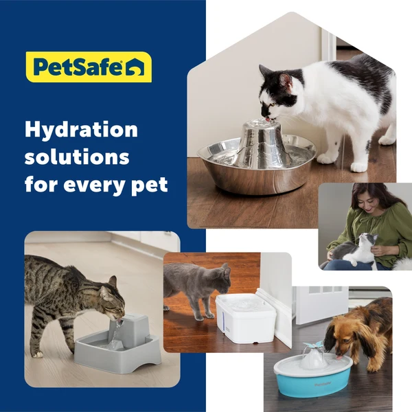 PETSAFE - Seaside Stainless Steel Pet Fountain - Image 10