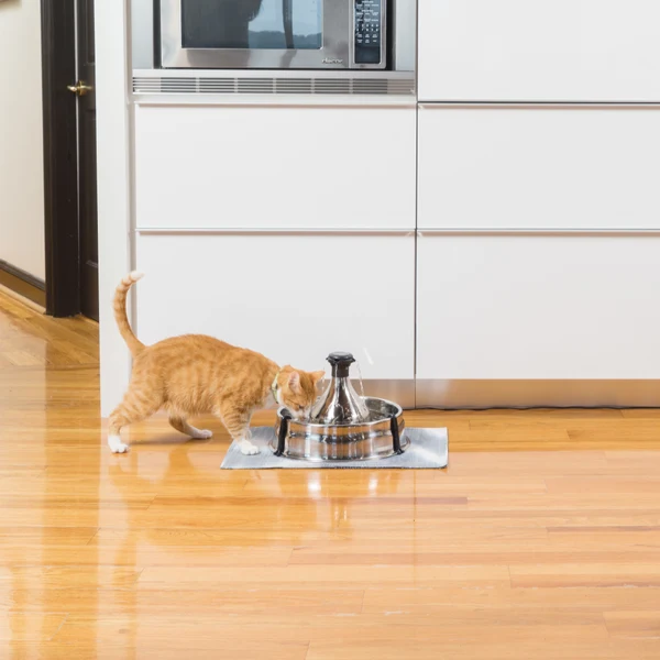 PETSAFE - Drinkwell® 360 Stainless Steel Pet Fountain - Image 2