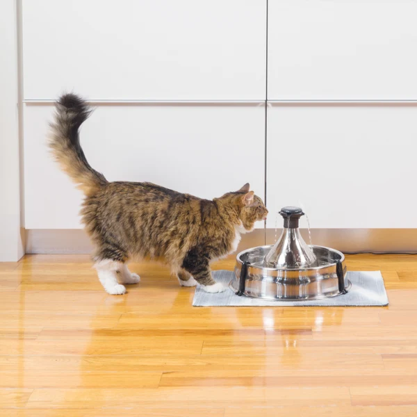 PETSAFE - Drinkwell® 360 Stainless Steel Pet Fountain - Image 3
