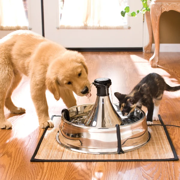 PETSAFE - Drinkwell® 360 Stainless Steel Pet Fountain - Image 4