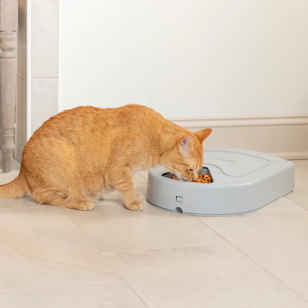 PETSAFE - 5 Meal Pet Feeder - Image 2