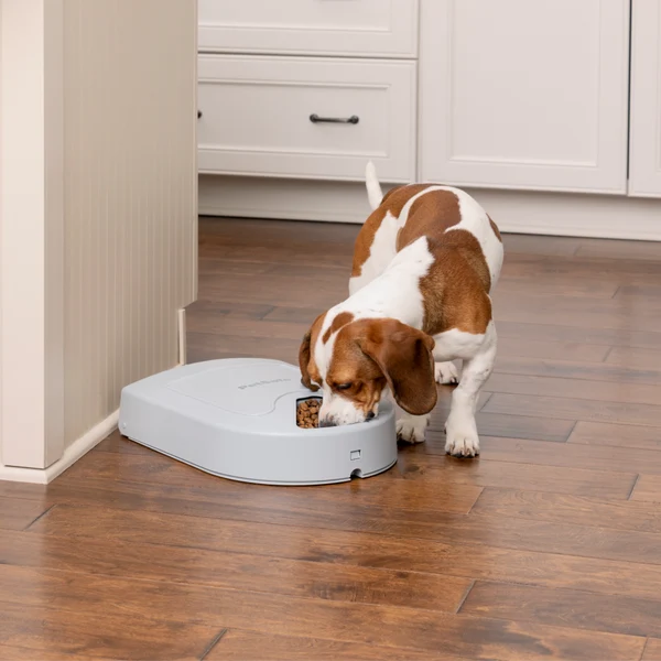 PETSAFE - 5 Meal Pet Feeder - Image 3