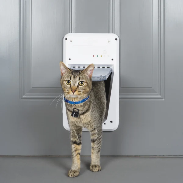 PETSAFE - Staywell® Electronic Pet Door - Image 5