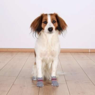 TRIXIE - DOG SOCKS NON-SLIP L 2 PCS GREY