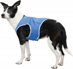 Trixie - COOLING VEST PVA L 35CM BLUE