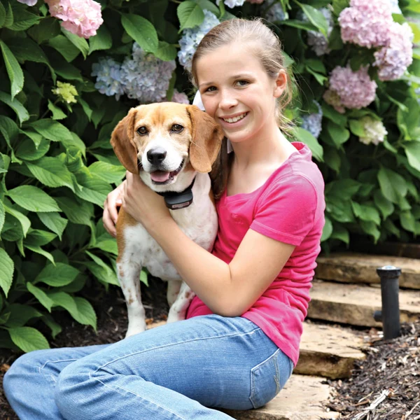 Petsafe Rechargeable In-Ground Fence™ System - Image 3