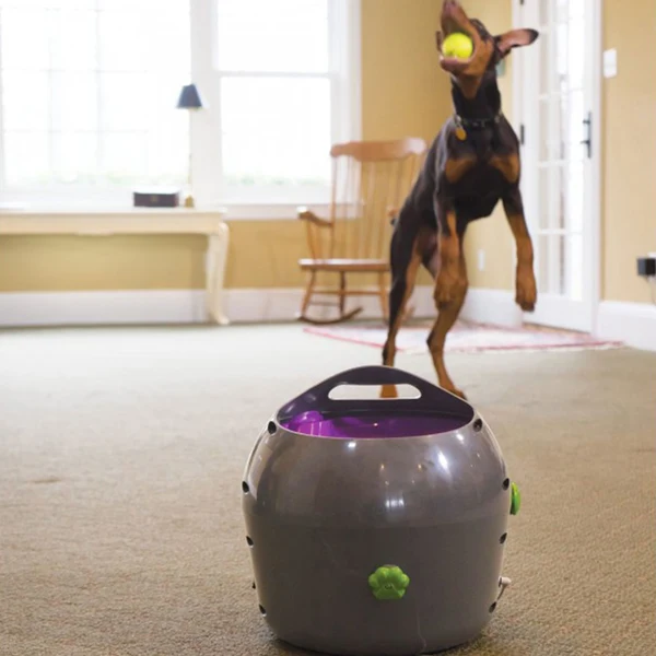 PETSAFE - Automatic Ball Launcher - Image 3