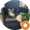 Heather Hartland Avatar