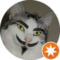 Andrew Savy Avatar